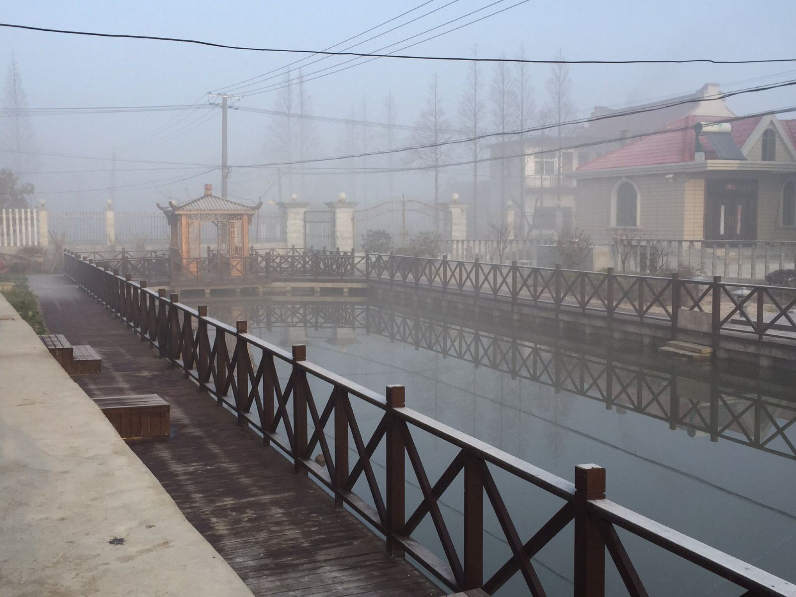 上海雨曦蓝莓农家乐