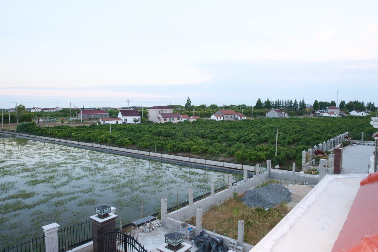 横沙田园别墅(上海窑小迂一路店)