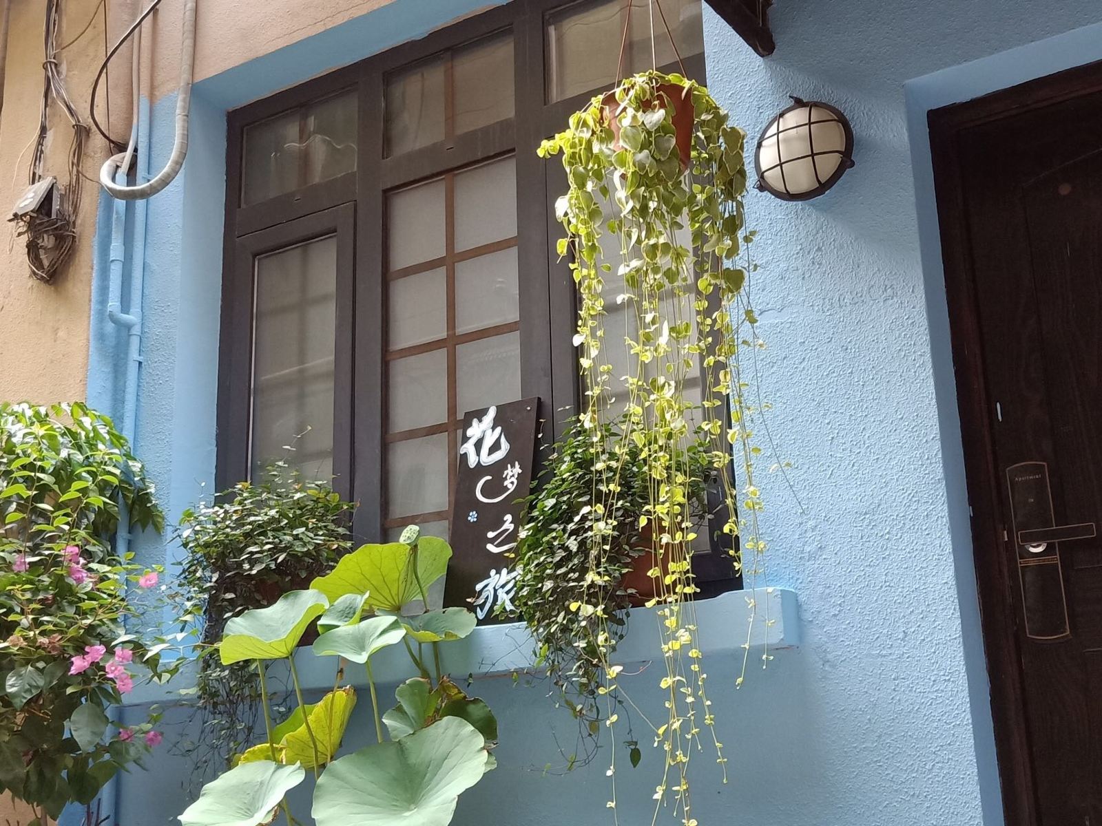 上海花梦之旅老洋房青年旅舍