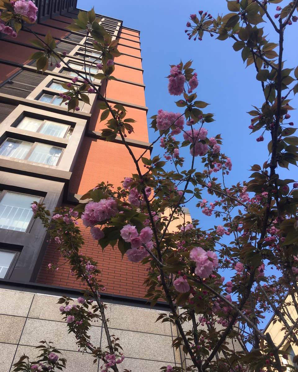 君临城酒店式服务公寓(上海顽皮熊熊店)