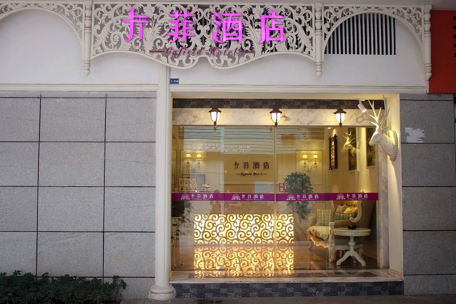 外观