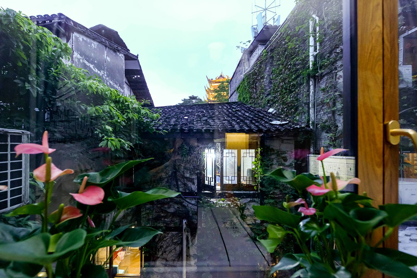 公共区域