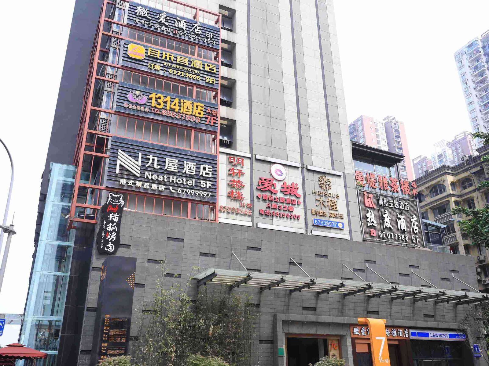 外观