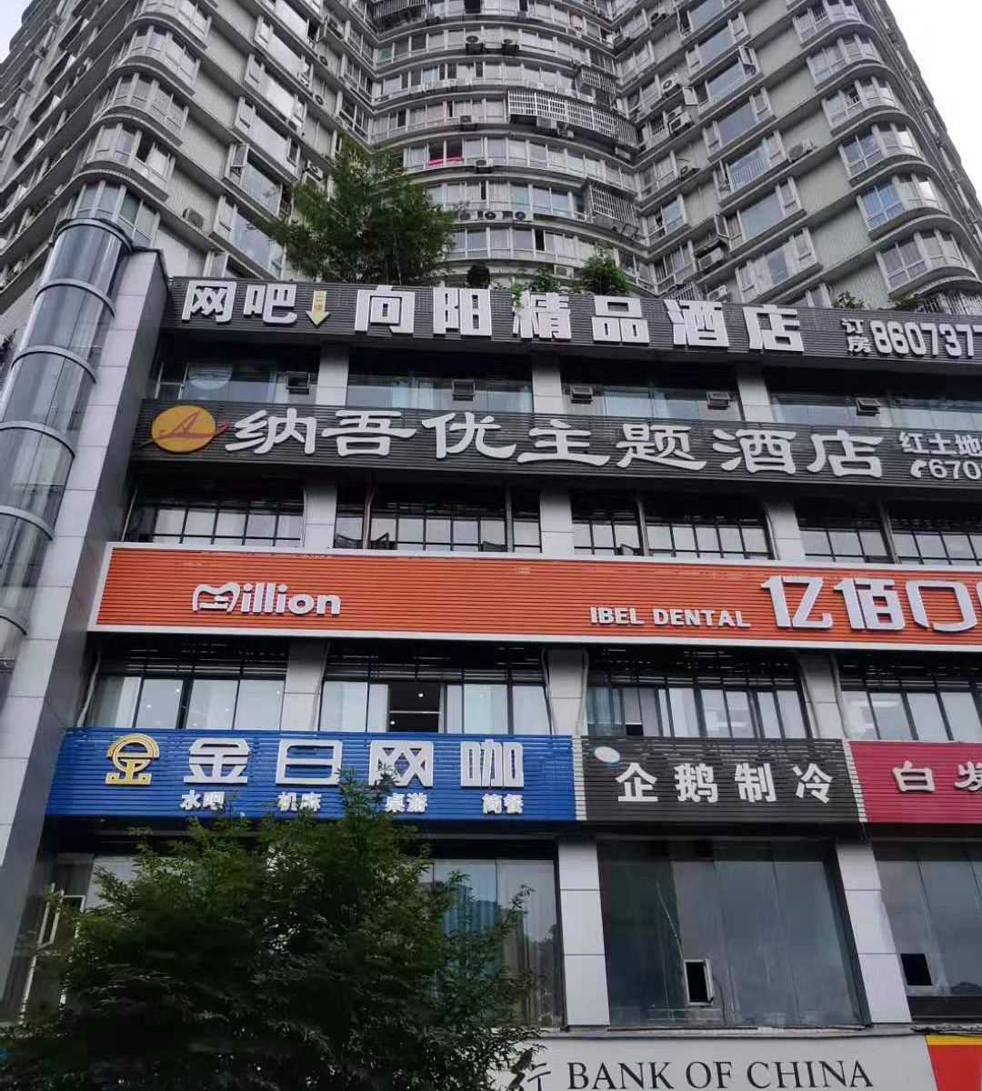 外观