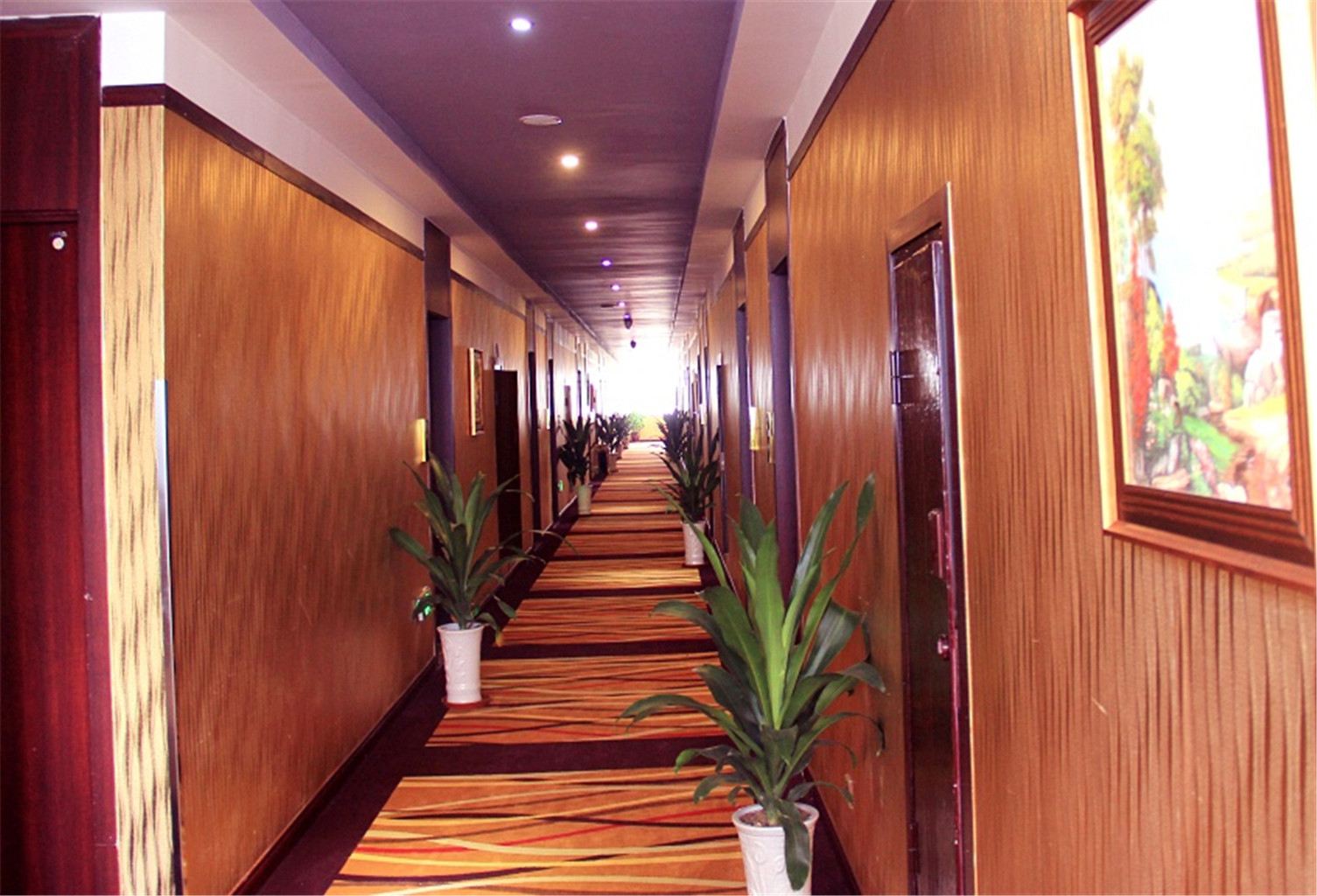 公共区域