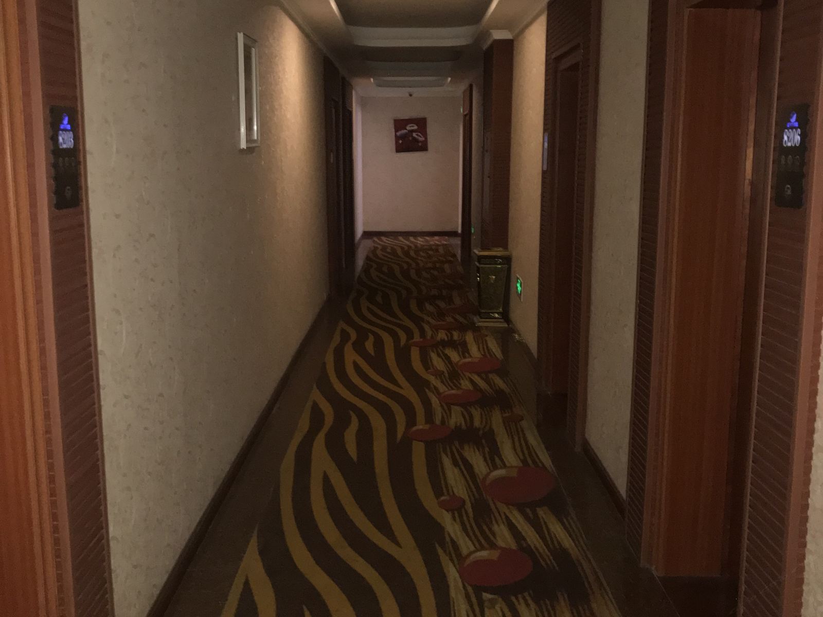 公共区域