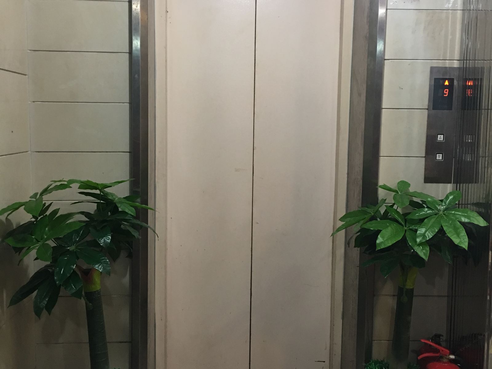 公共区域