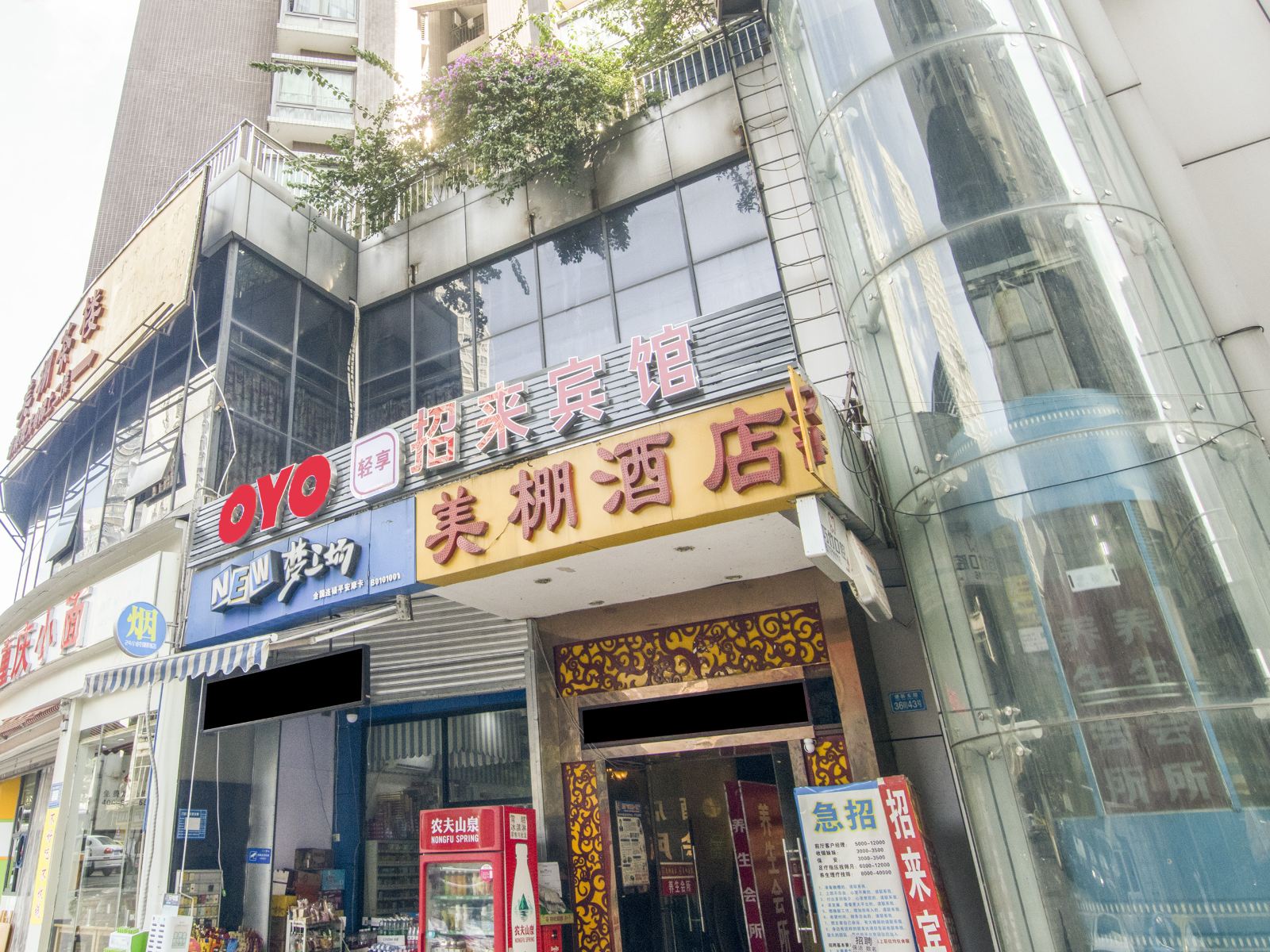 外观
