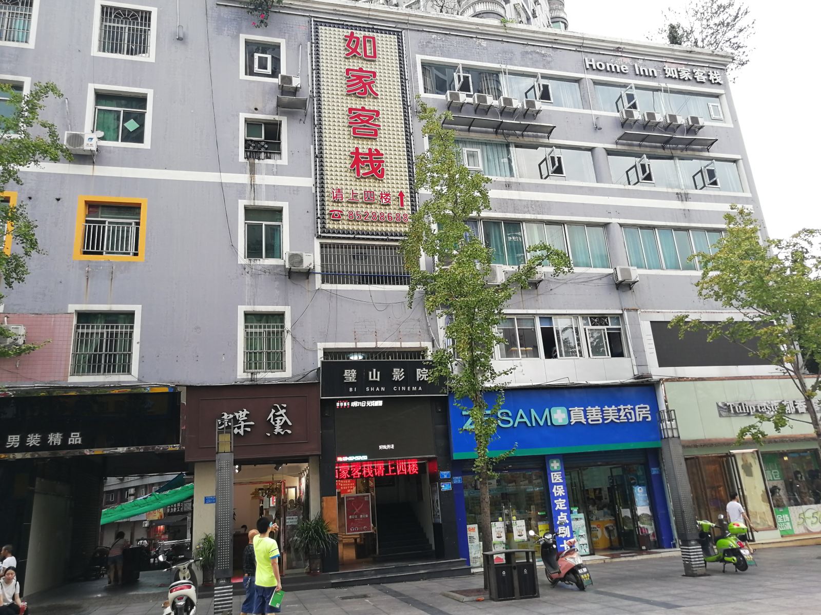 外观