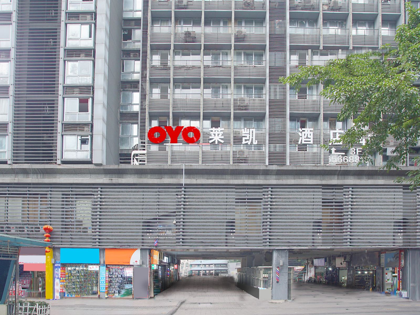 外观