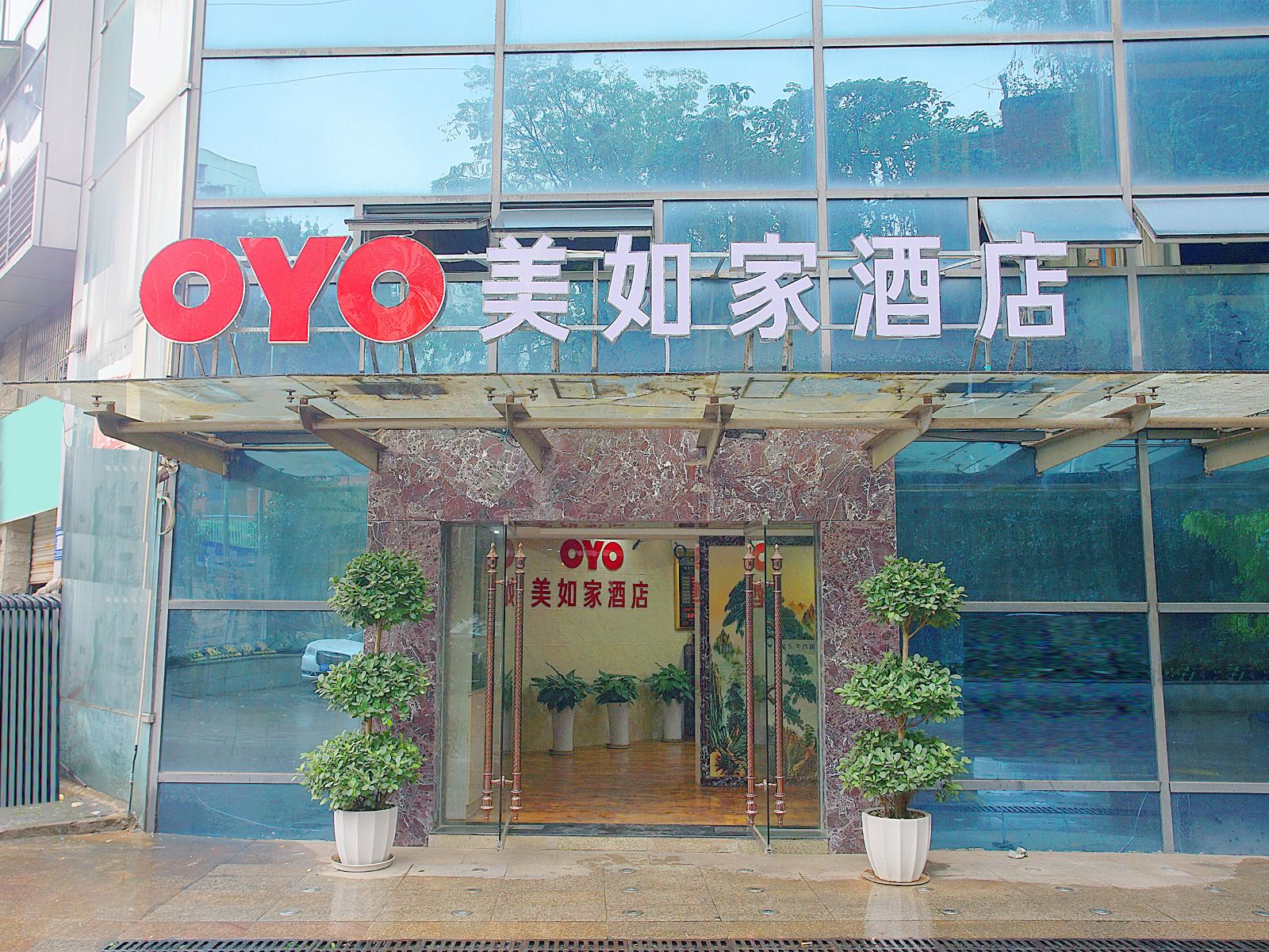 外观