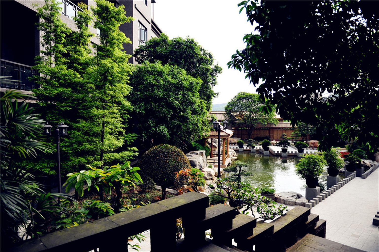 公共区域