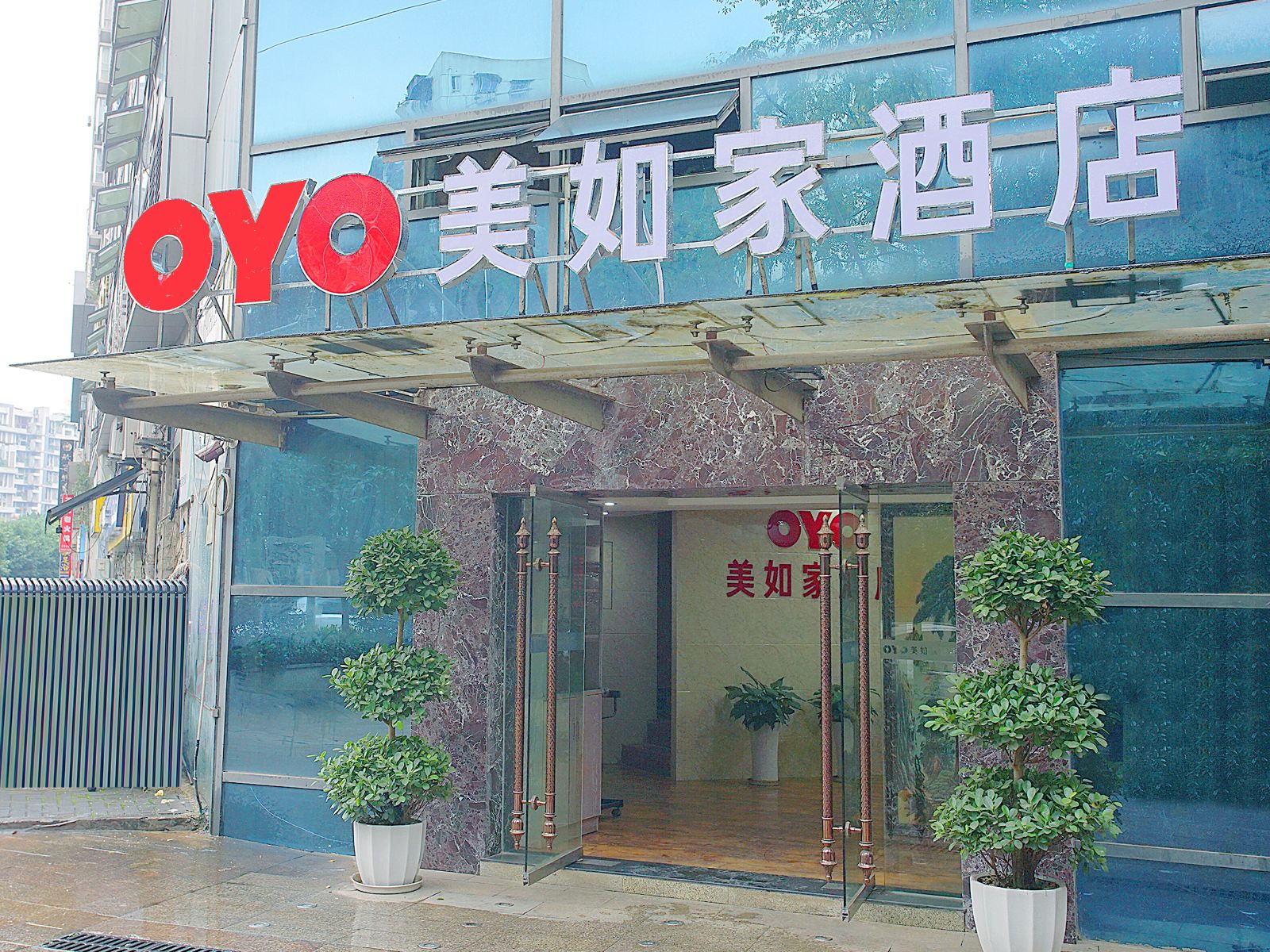 外观