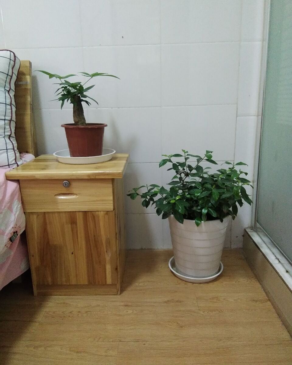 精品大床房