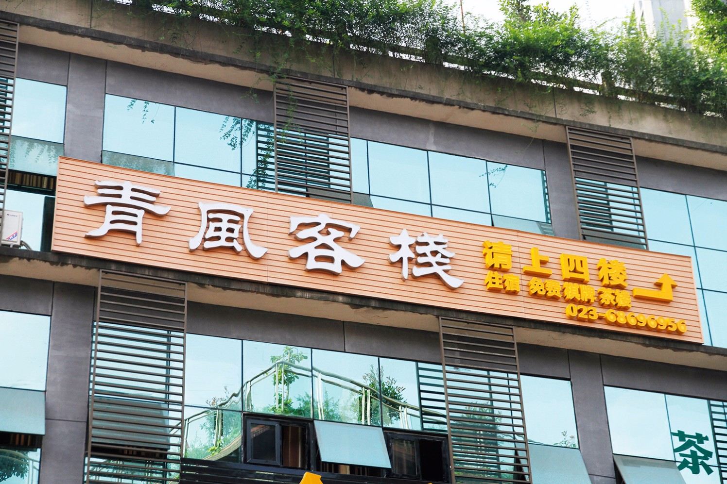 外观