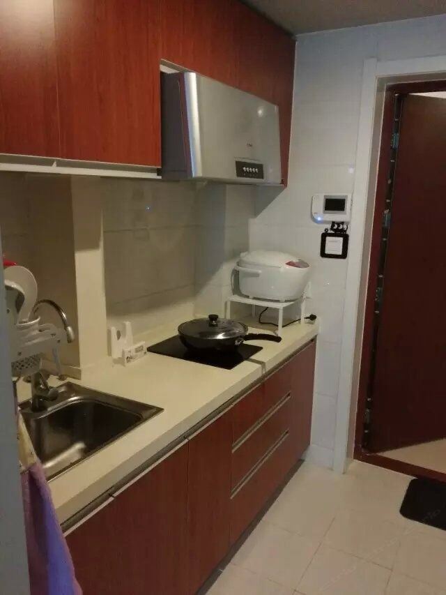 精致一室一厅