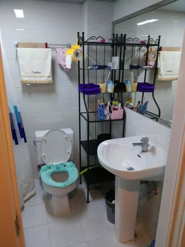 精致一室一厅