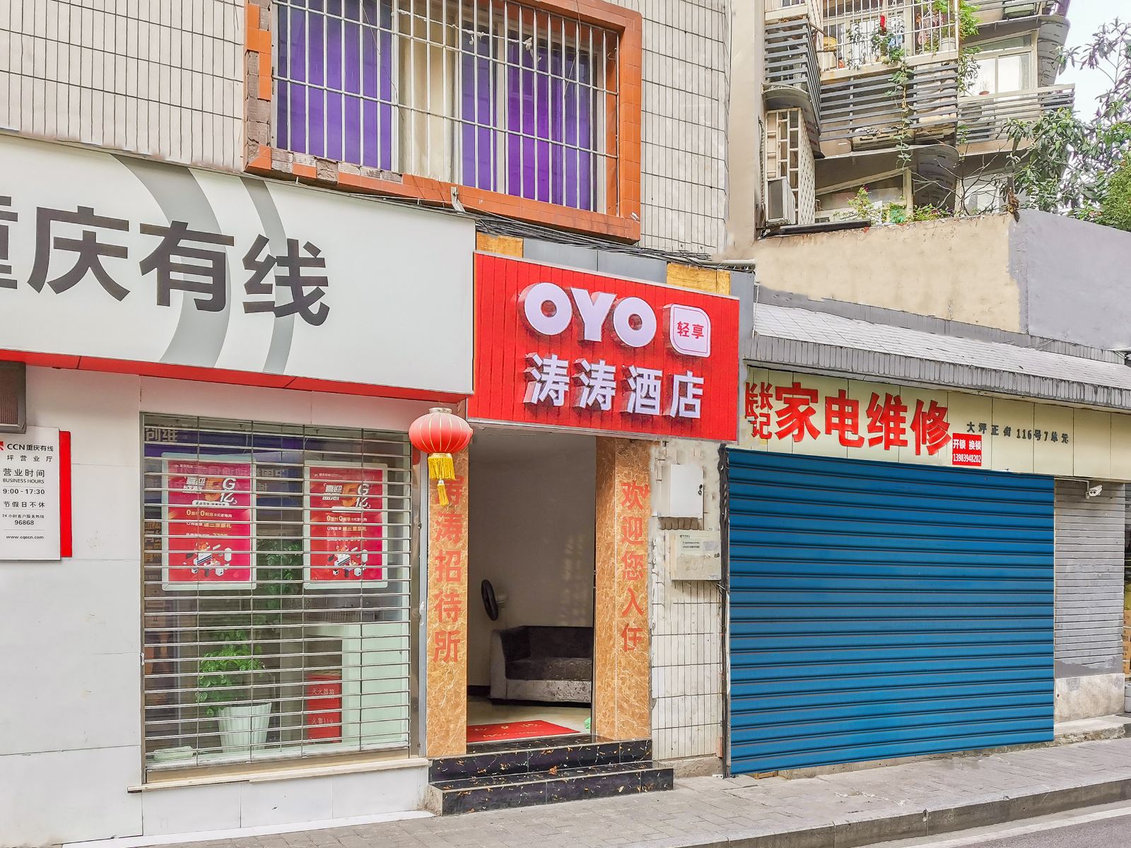 外观