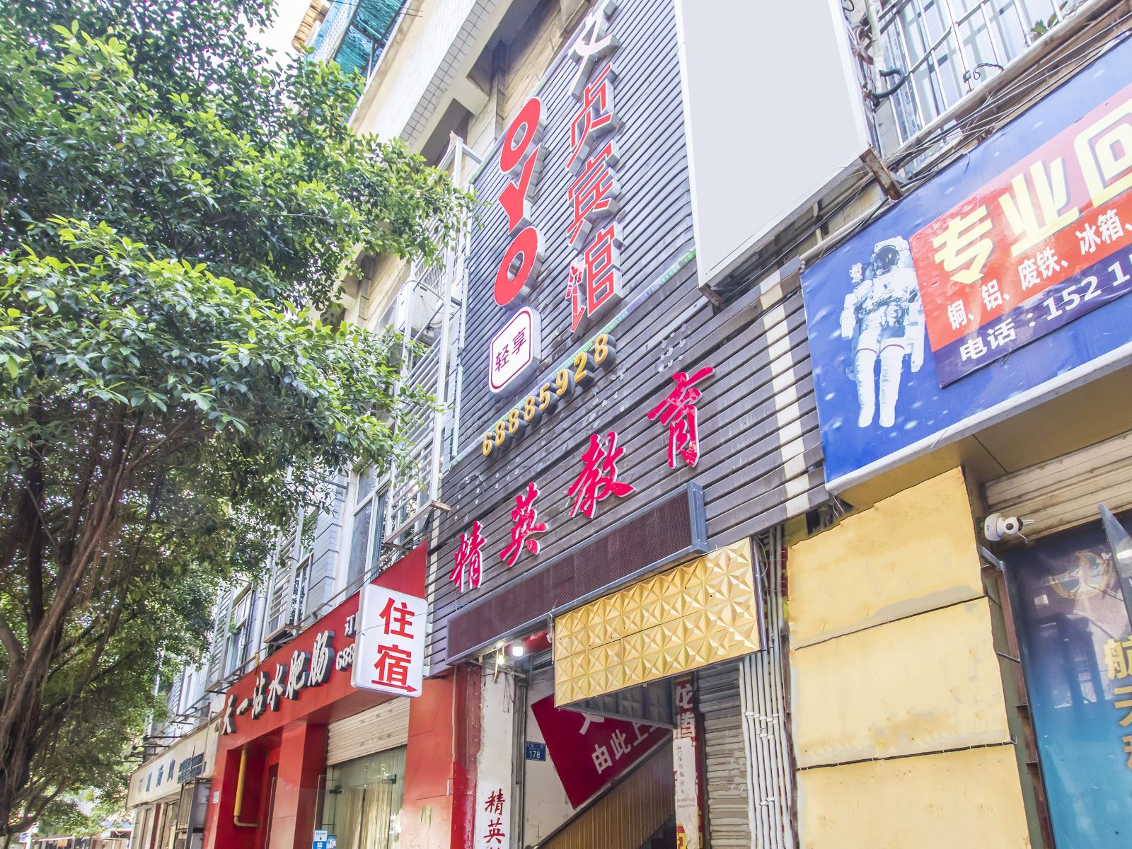外观