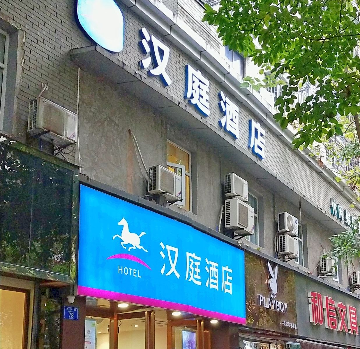 外观