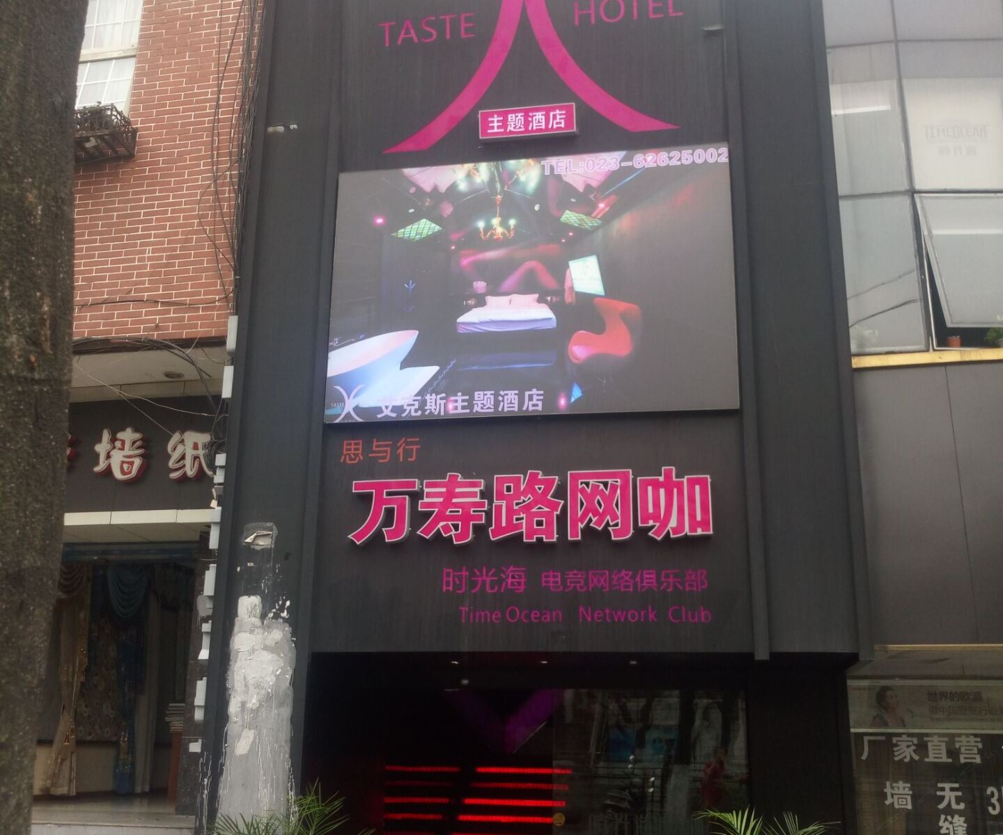 外观