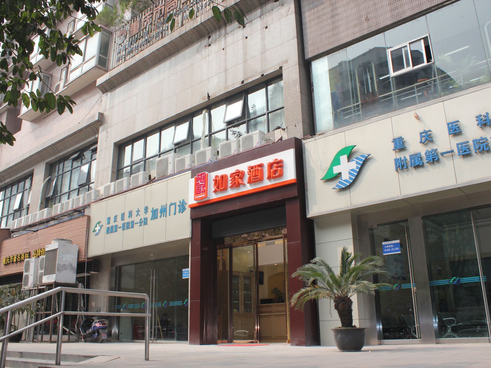 外观
