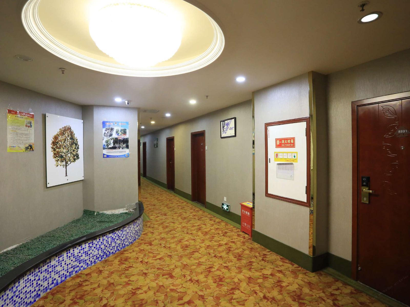公共区域