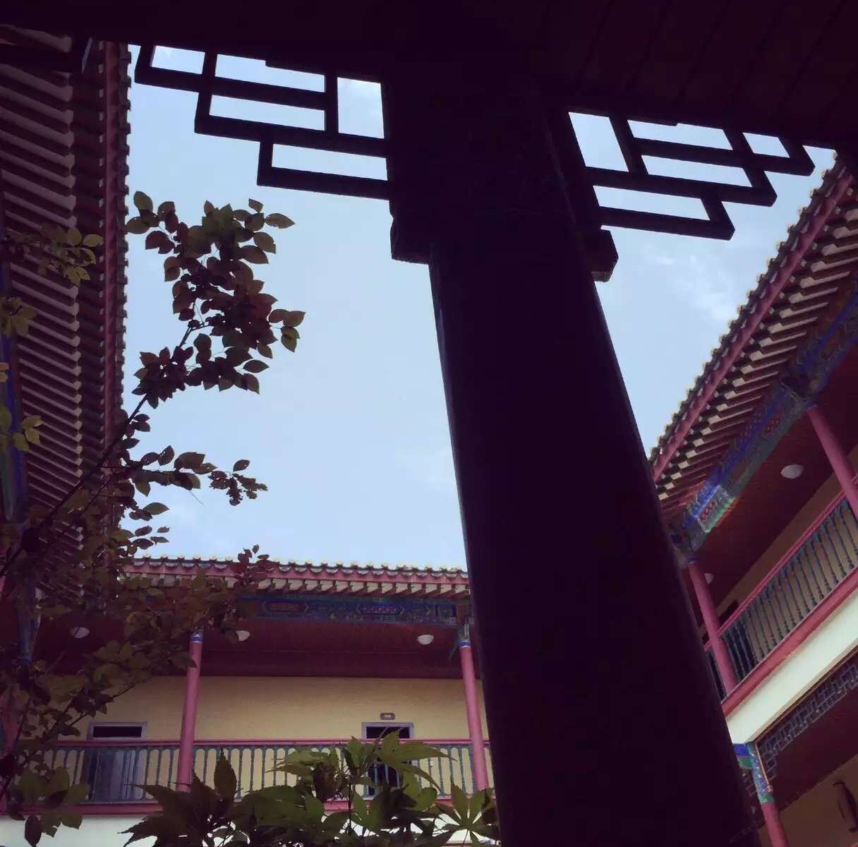 公共区域