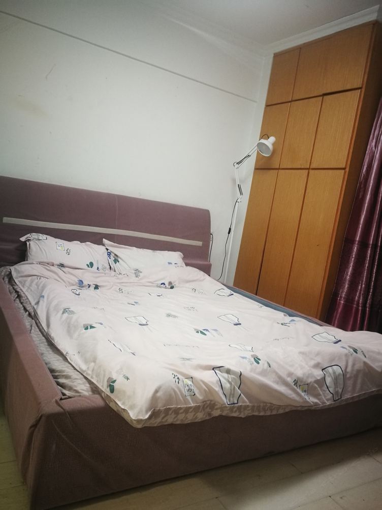 春天一室大床房