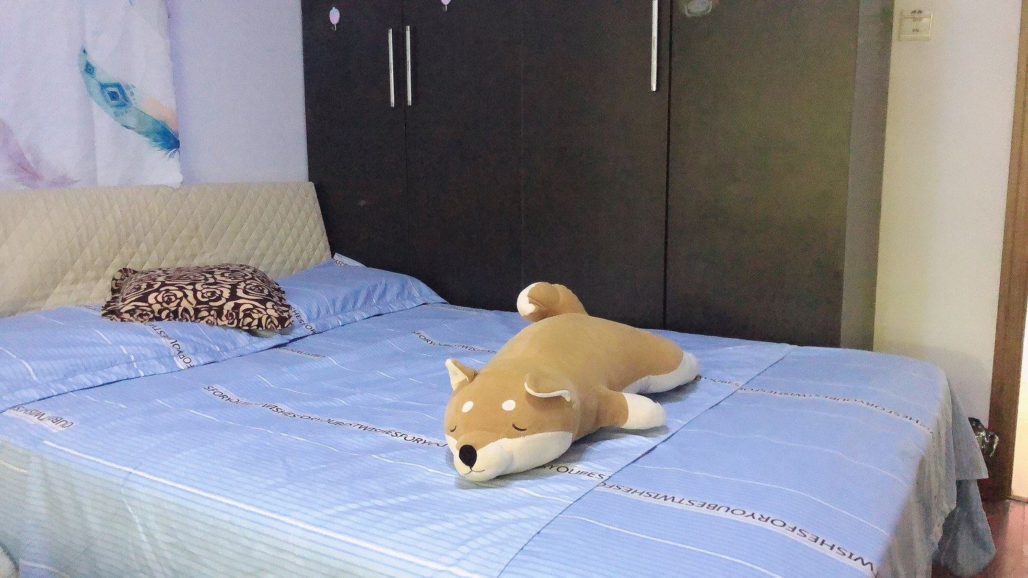 精致三室一厅套房