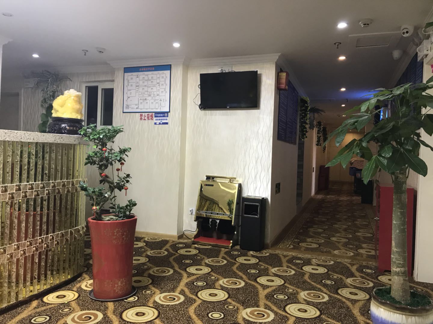 公共区域