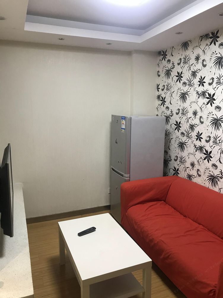 精品一室一厅套房