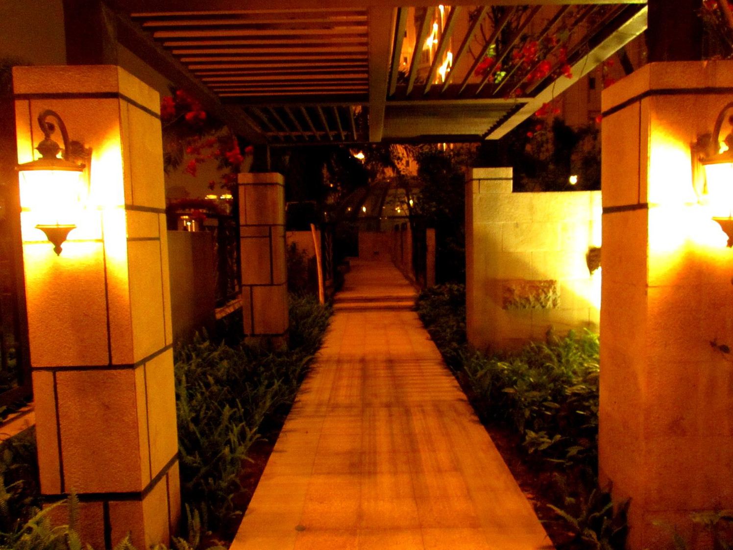 公共区域