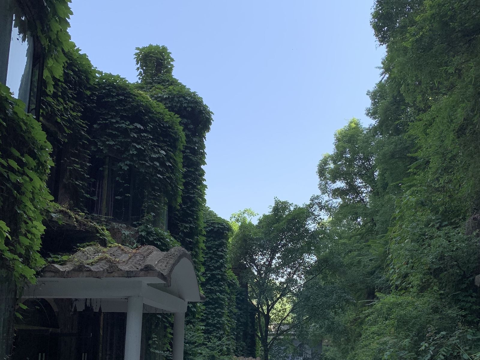 公共区域