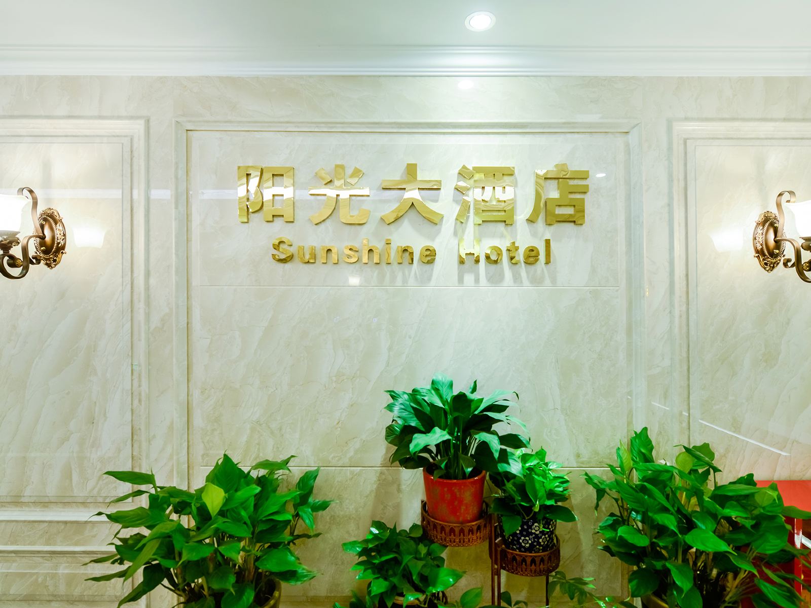 公共区域