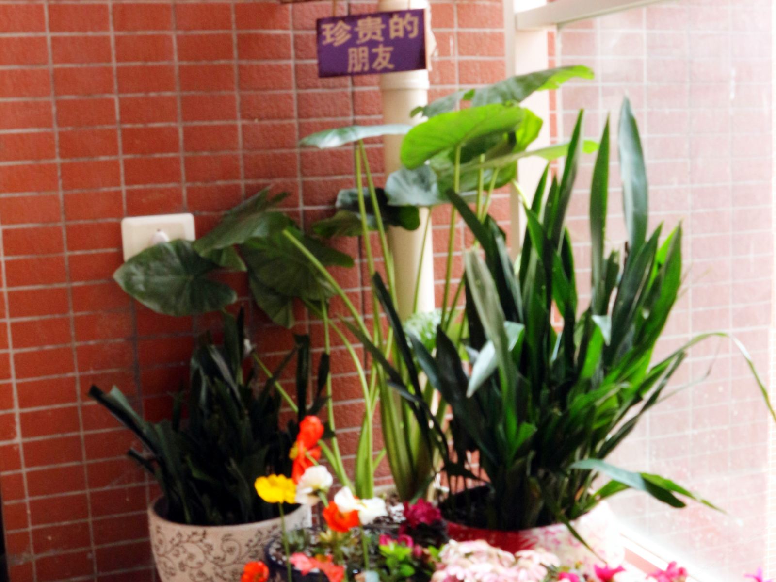 健身娱乐设施