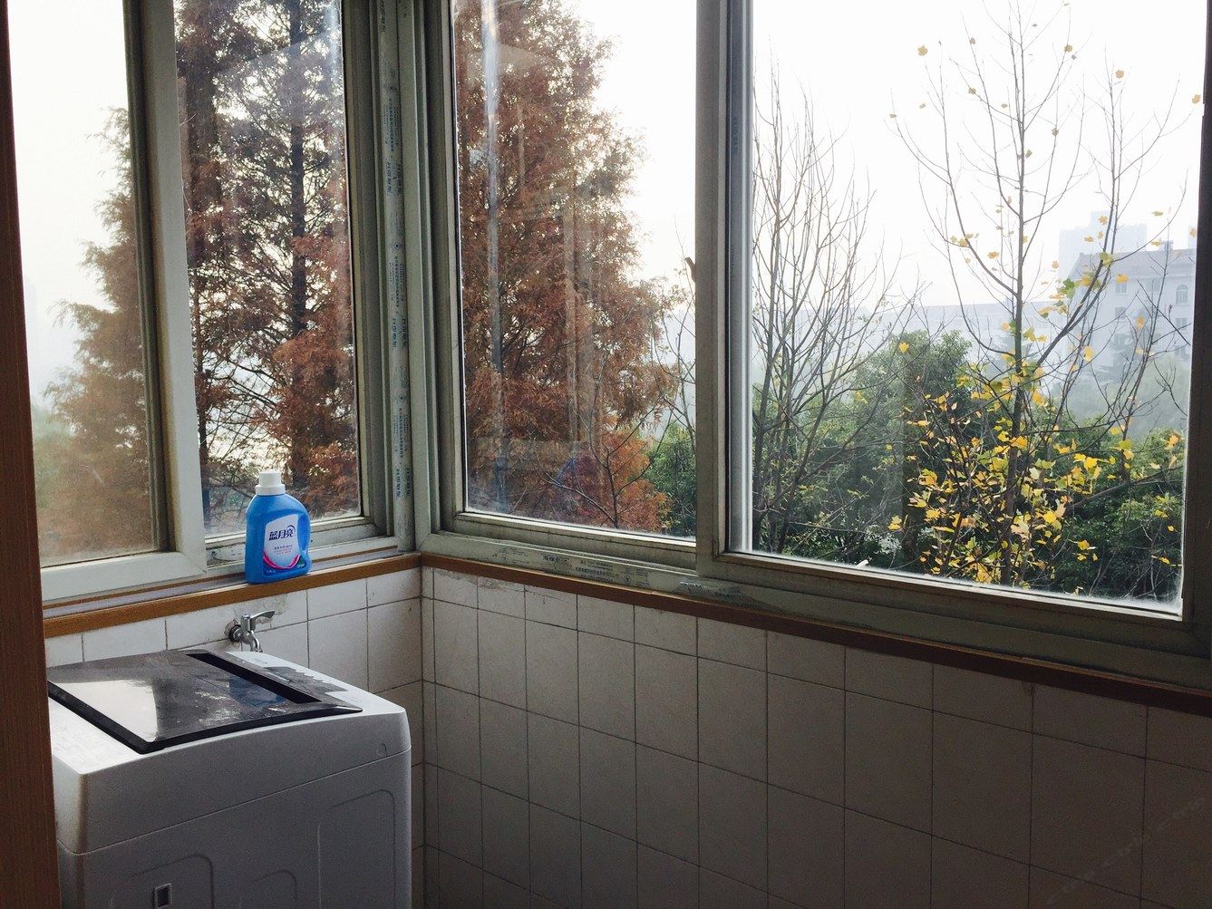 舒适二室一厅套房