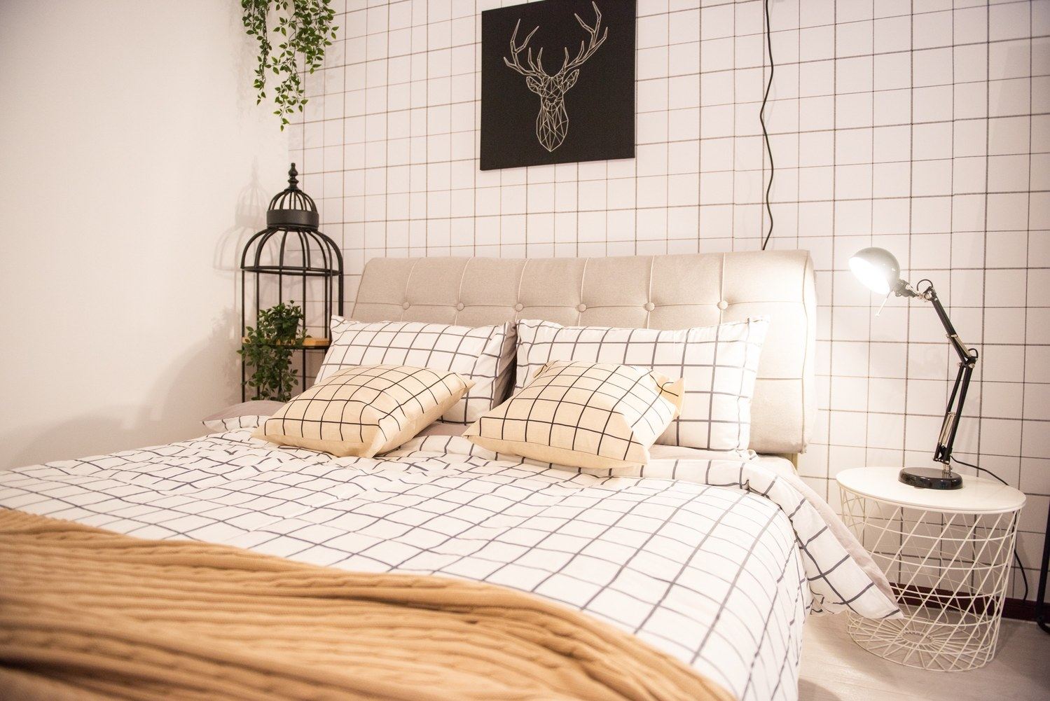 经典一室大床房