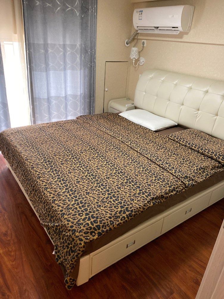 复式一室一厅套房