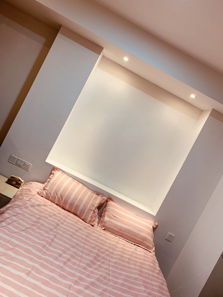 粉色一室一厅套房