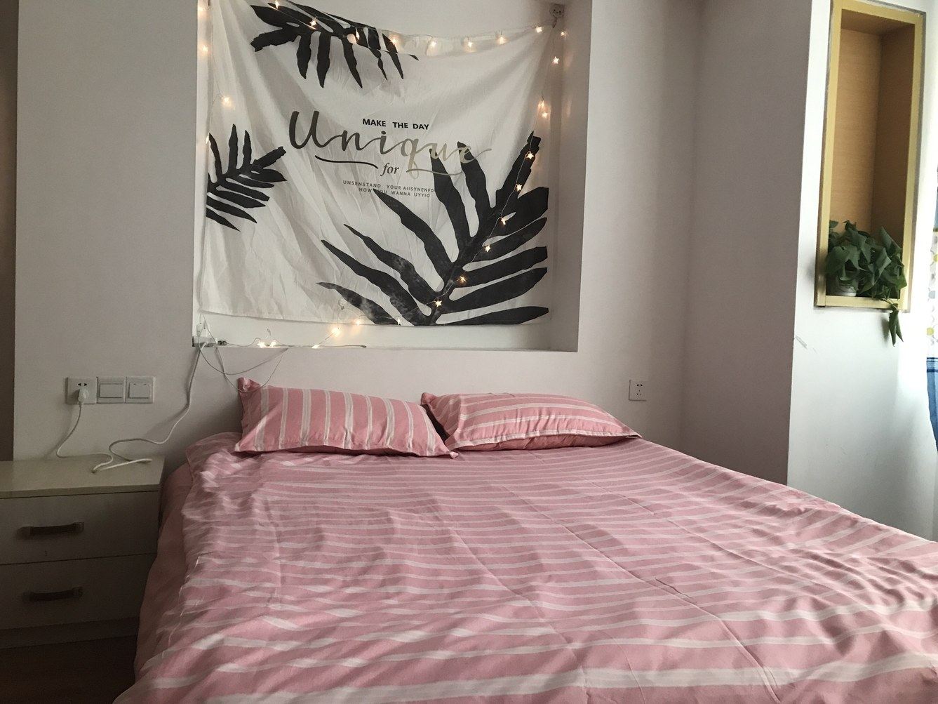 粉色一室一厅套房