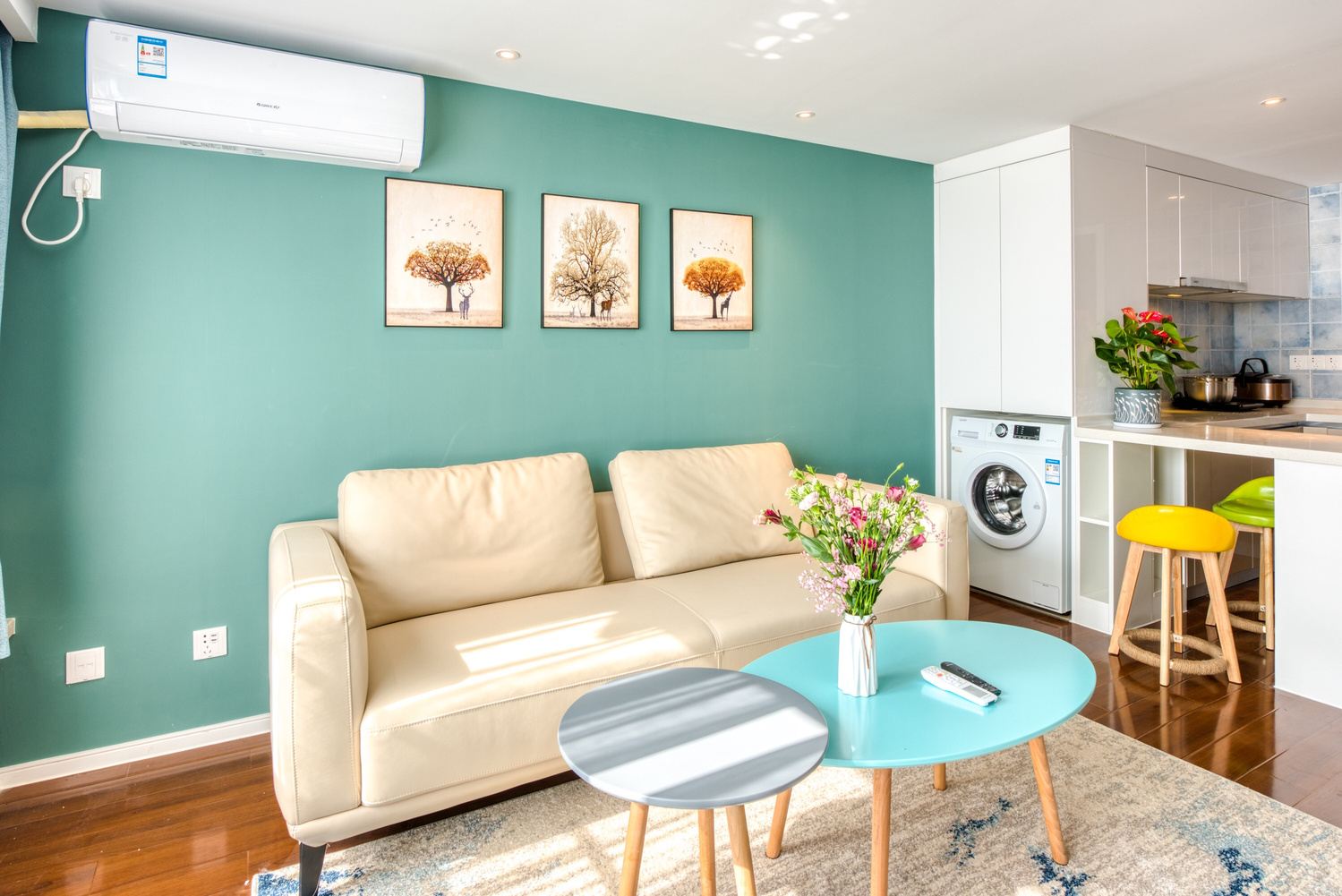 雅居一室一厅套房