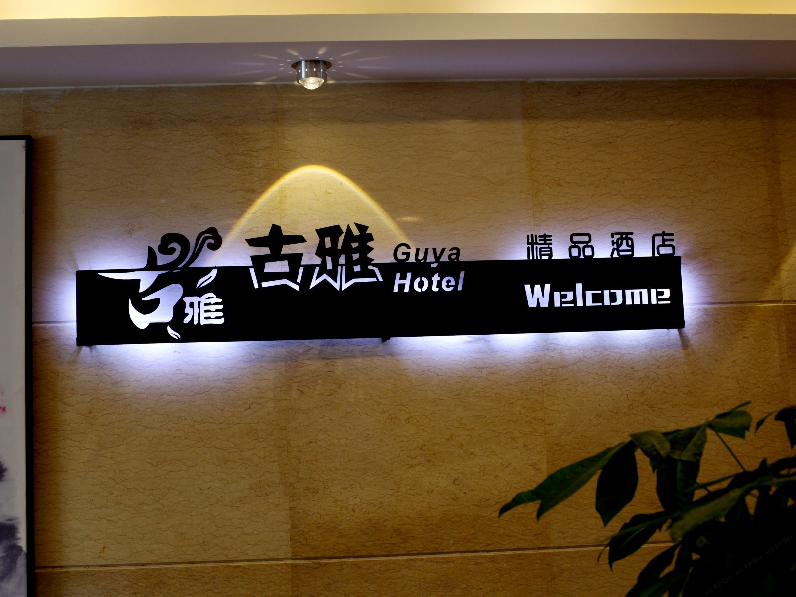 其他