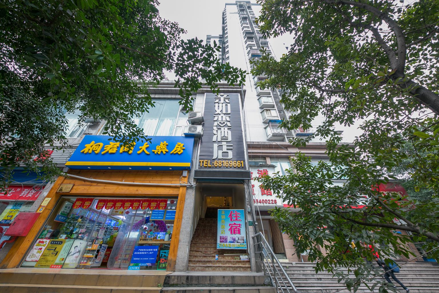 外观