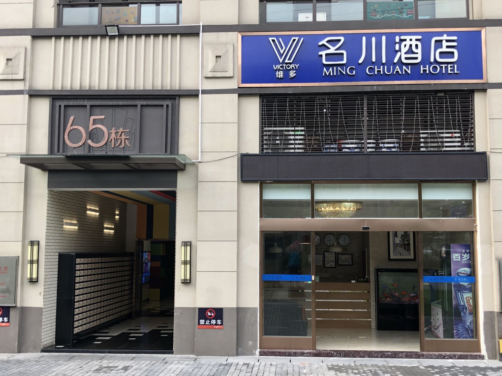 外观