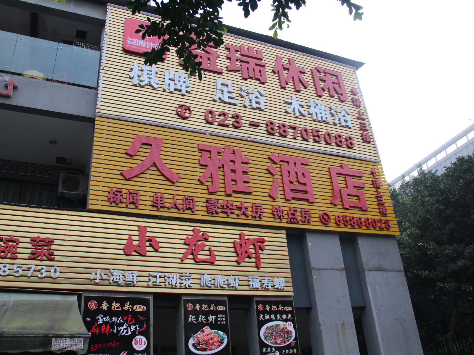 外观