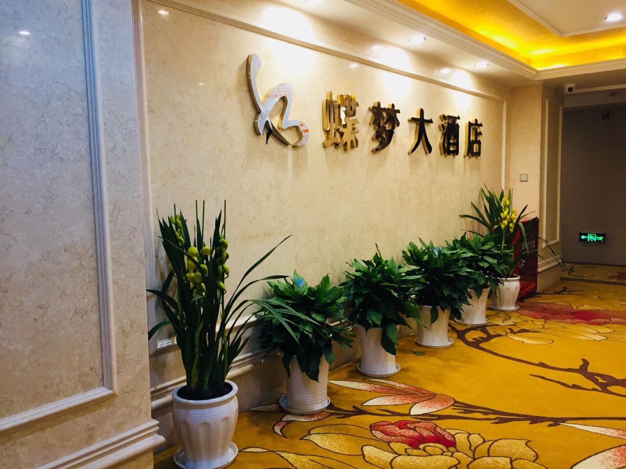 公共区域