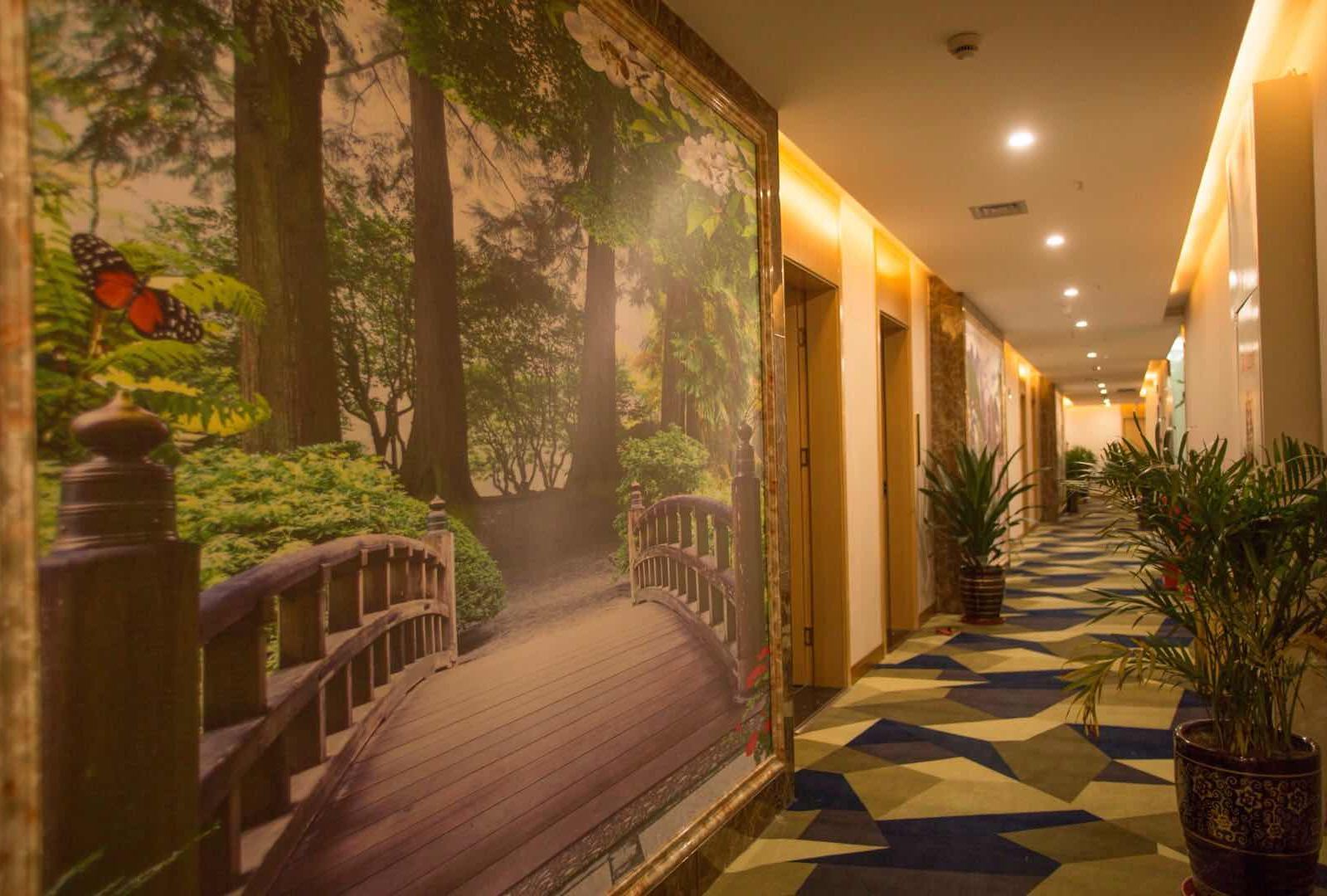 公共区域
