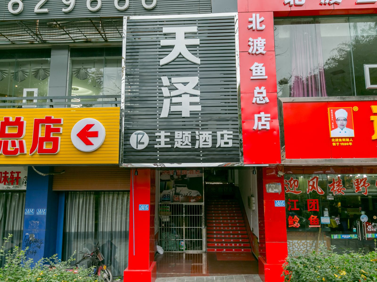 外观
