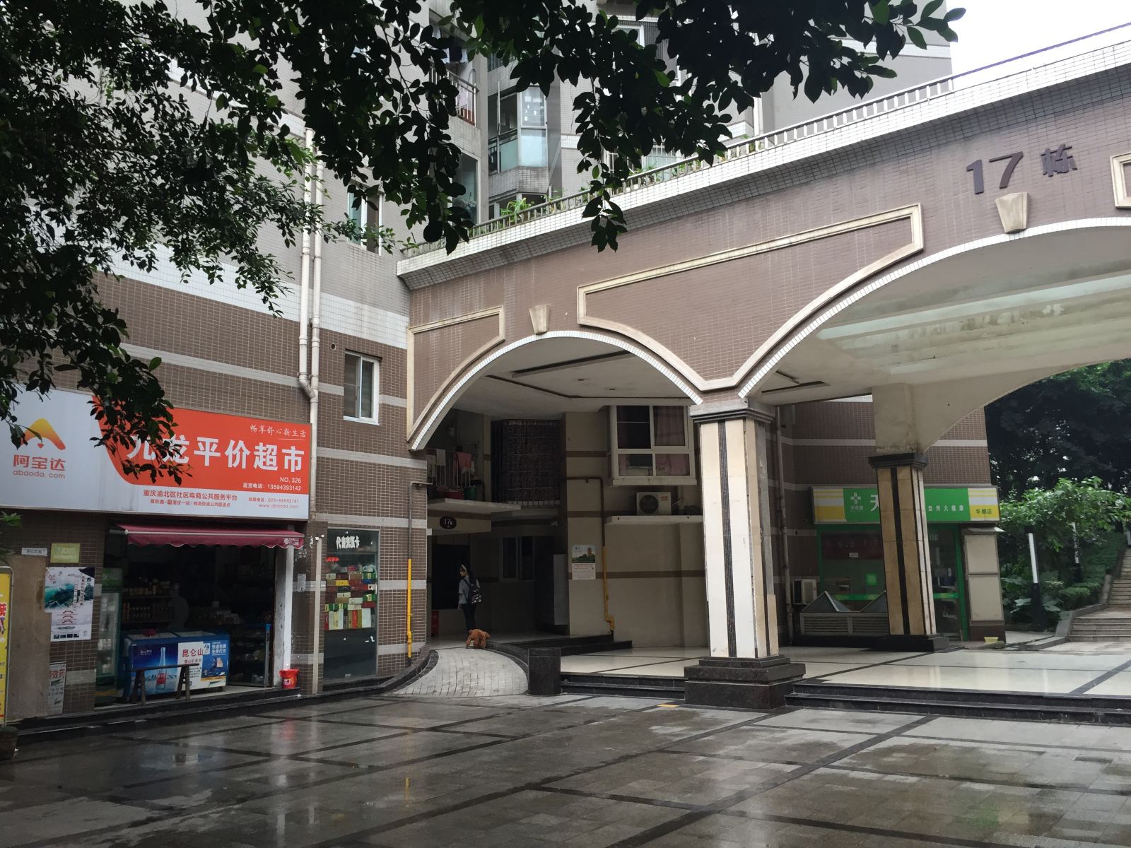 外观
